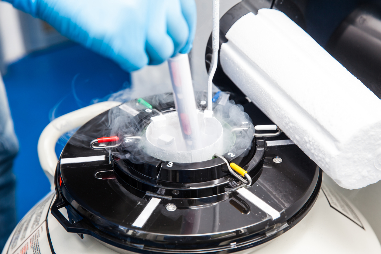How to Handle Frozen Embryos During Divorce